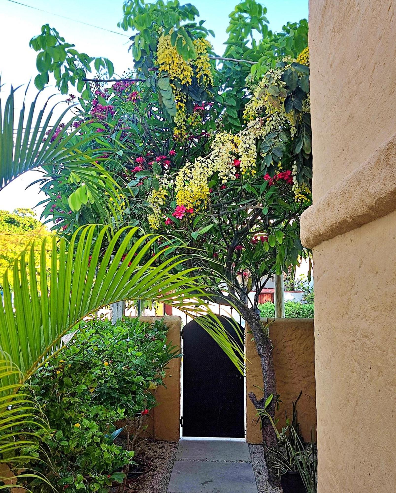 Studio Norte, Casa Brisamar ปัวร์โตโมเรลอส ภายนอก รูปภาพ